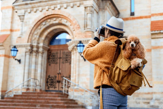 How to Train Your Dog to Ride in a Backpack How to Train Your Dog to Ride in a Backpack
